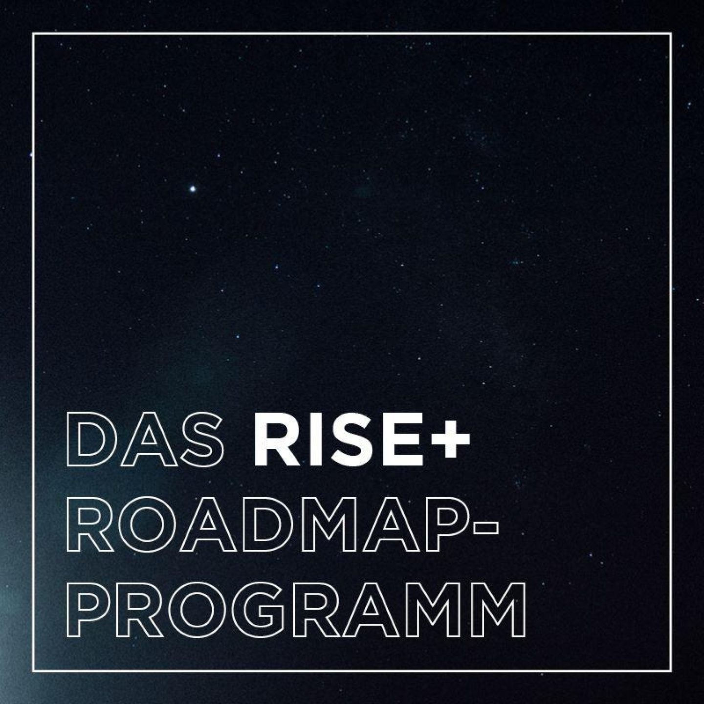 Kachel rise insight rise plus roadmap programm