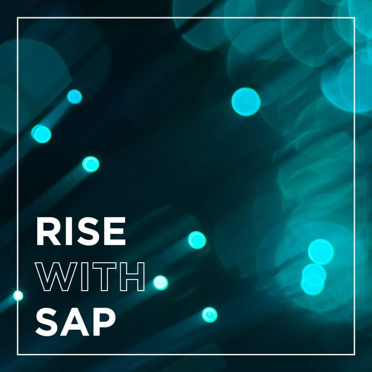 saps4inside roadmapedition risewithsap