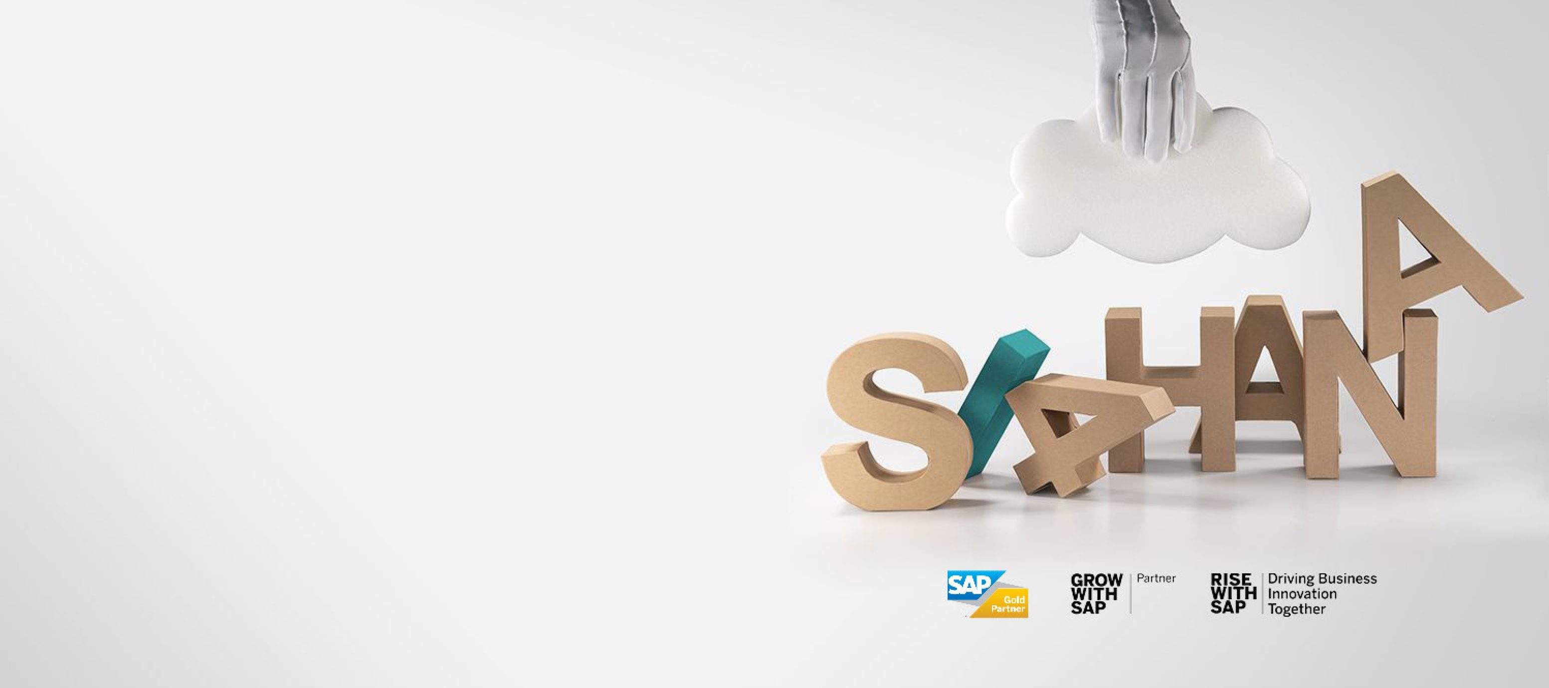 Gambit keyvisual s4hana cloud rise with sap