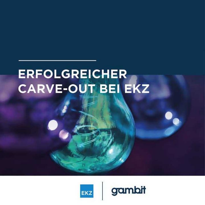 Gambit Consulting - Referenz EKZ Cover