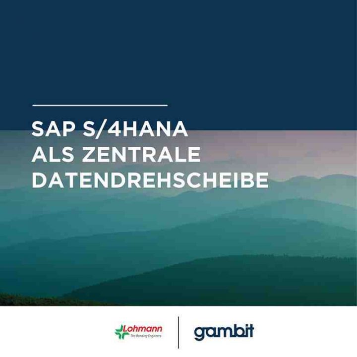 Gambit Consulting - Referenz Lohmann Cover