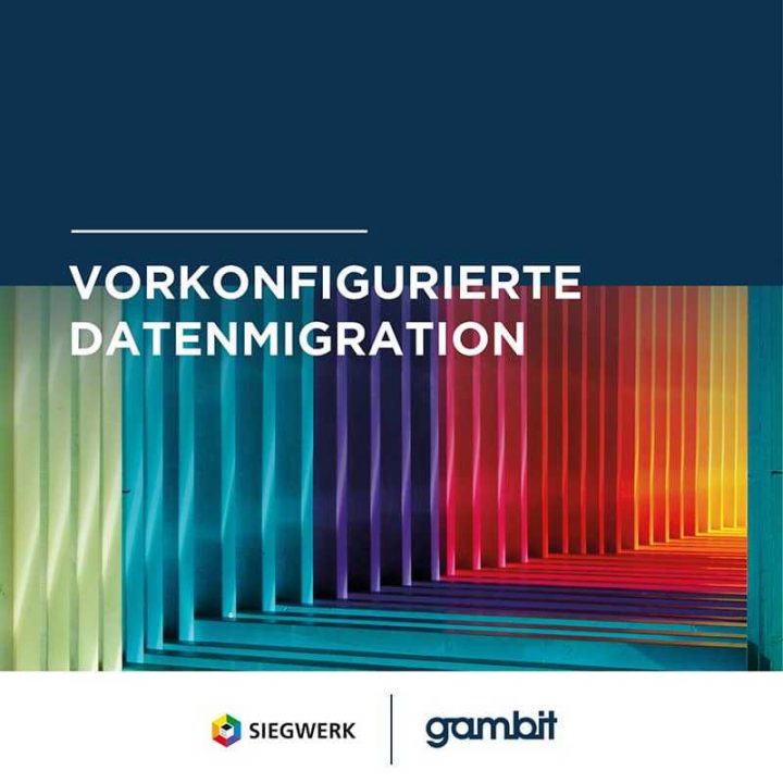 Gambit Consulting - Referenz Siegwerk Cover